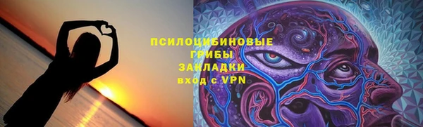индика Верхний Тагил