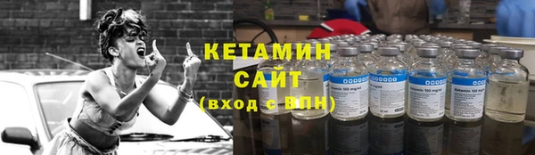 индика Верхний Тагил