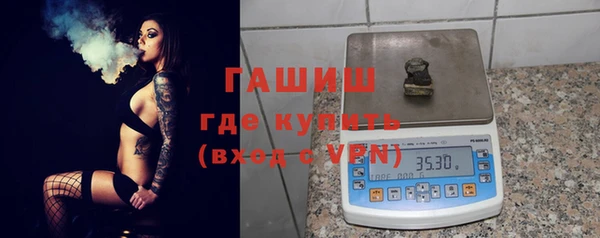 индика Верхний Тагил
