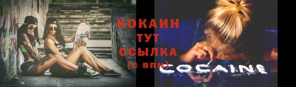 индика Верхний Тагил