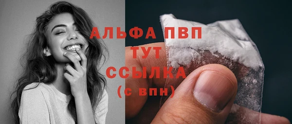 Альфа ПВП Верея