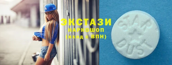 индика Верхний Тагил