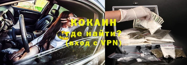 Альфа ПВП Верея