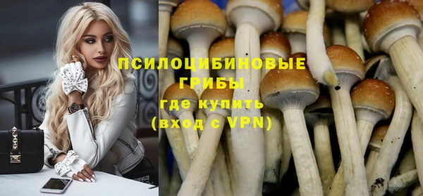 индика Верхний Тагил