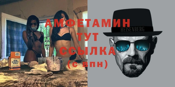 индика Верхний Тагил