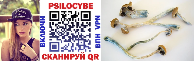 Псилоцибиновые грибы мицелий  купить наркотики сайты  Горбатов 