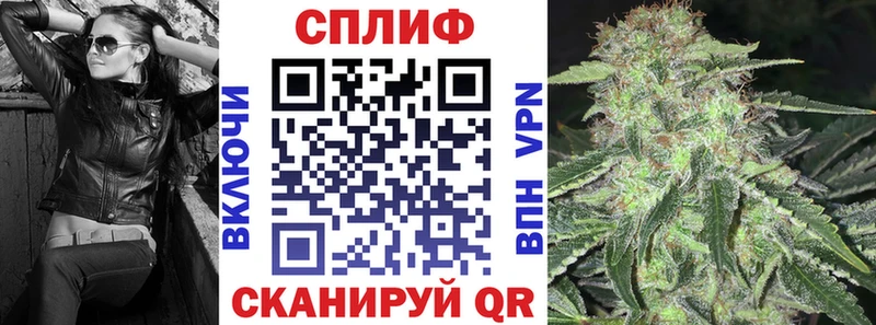 Бошки марихуана сатива  наркошоп  Горбатов 